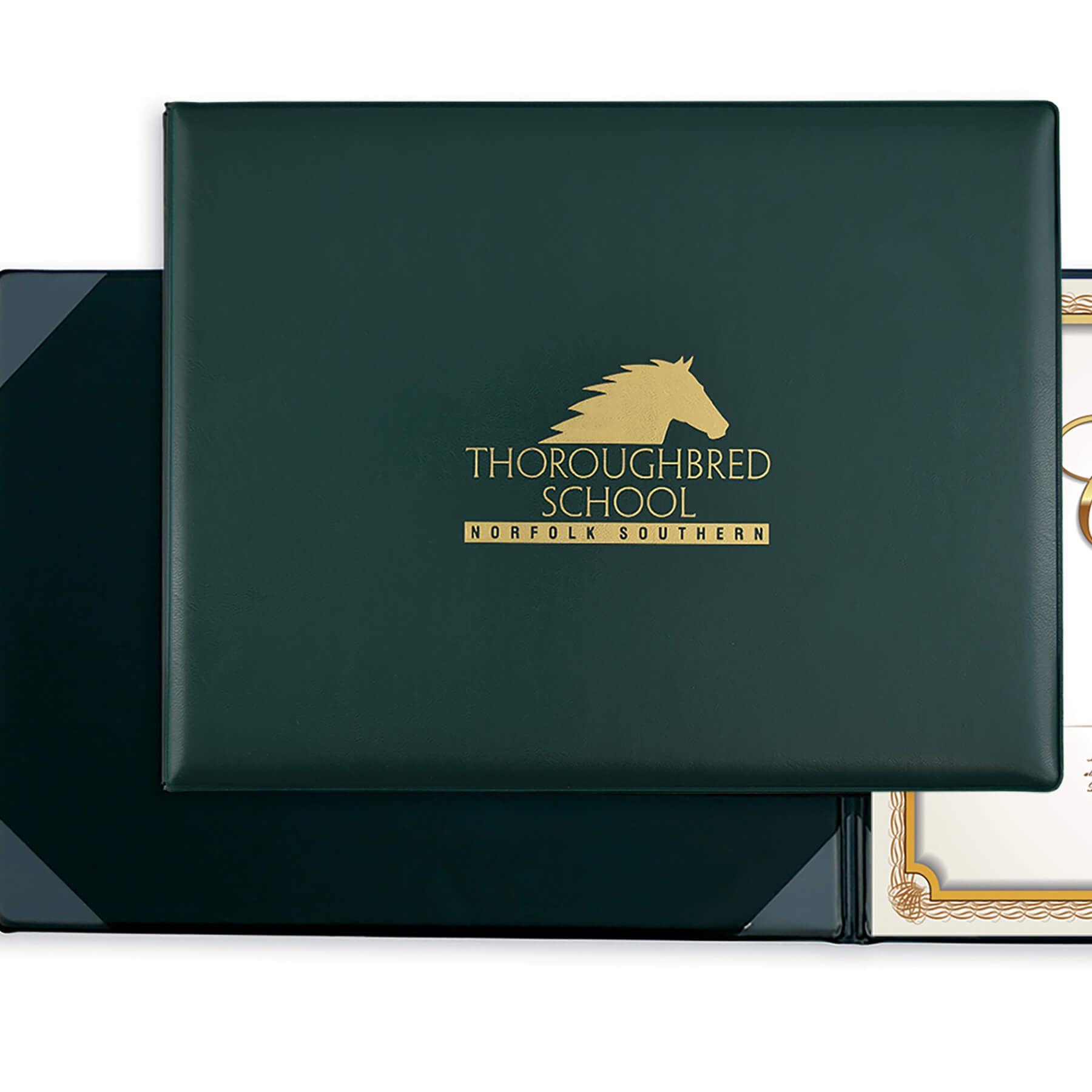 Vinyl Certificate Holders Fey Promo