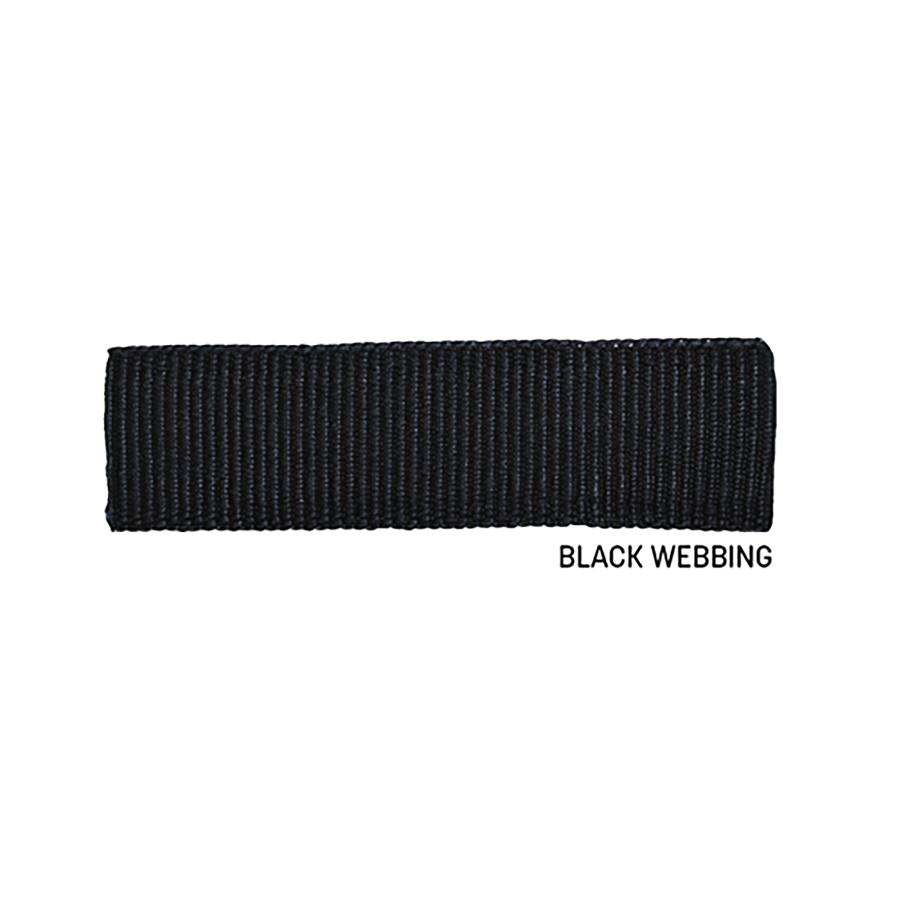 Black Webbing - Blank