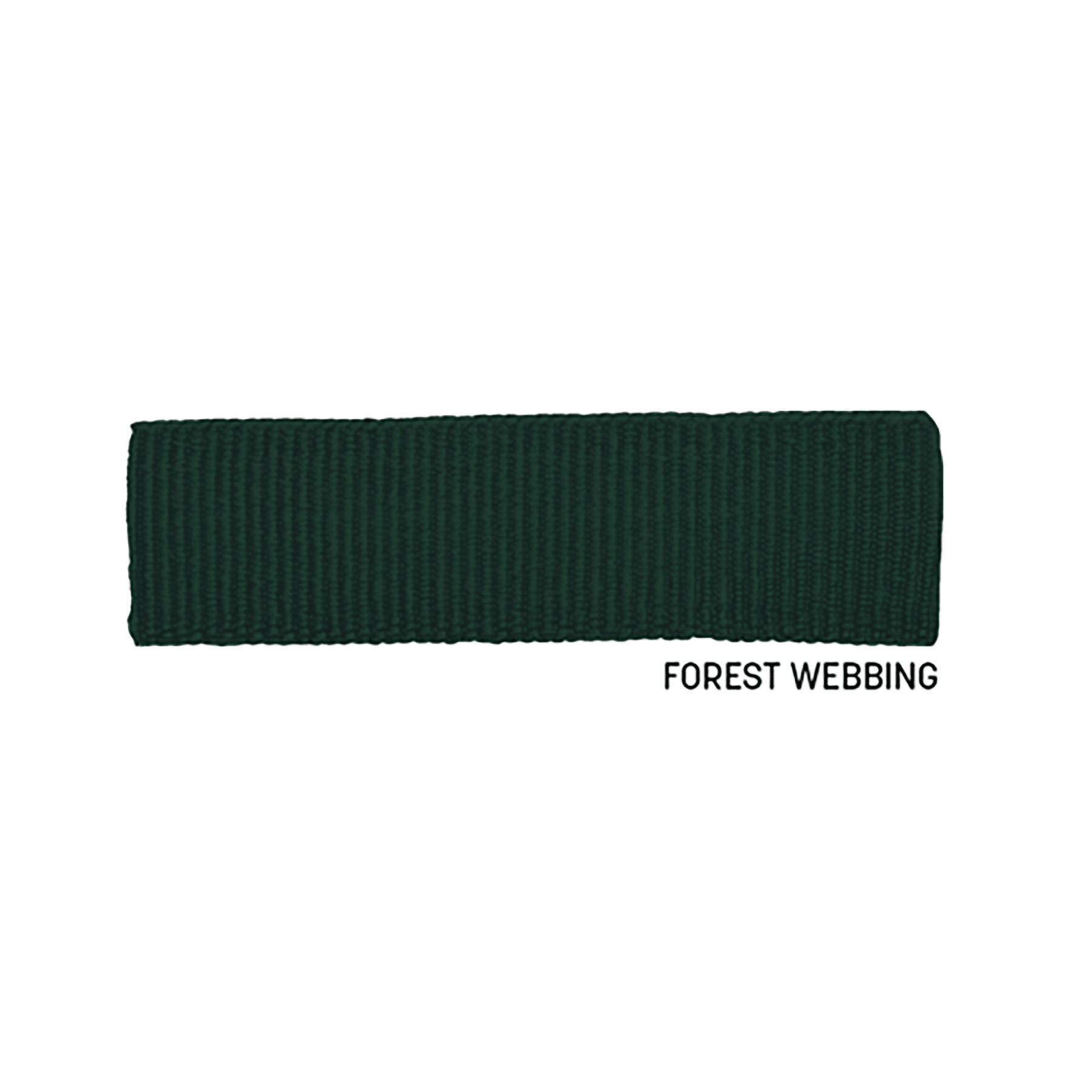 Forest Green Webbing - Closest to PMS 5535
