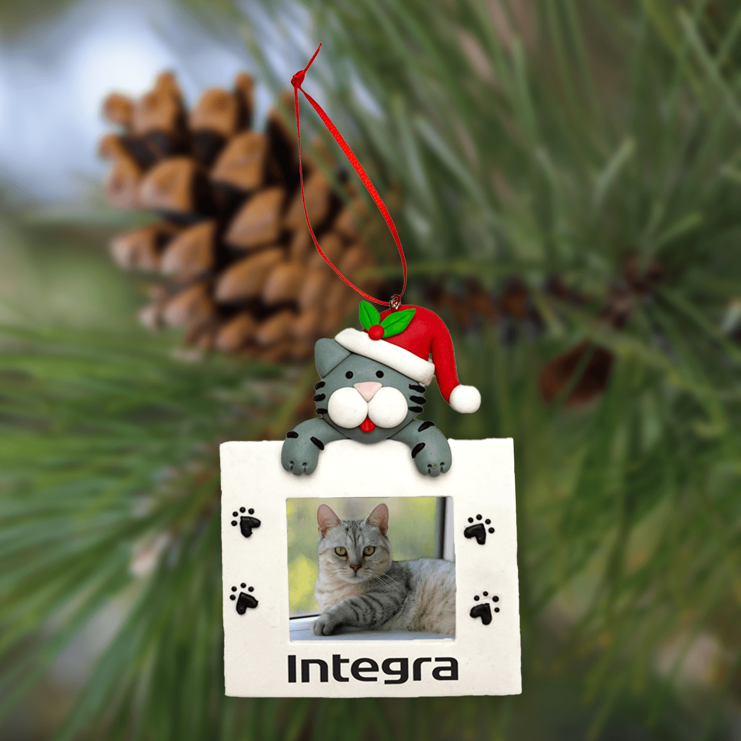 Cat Picture Frame Ornament - Fey Promo