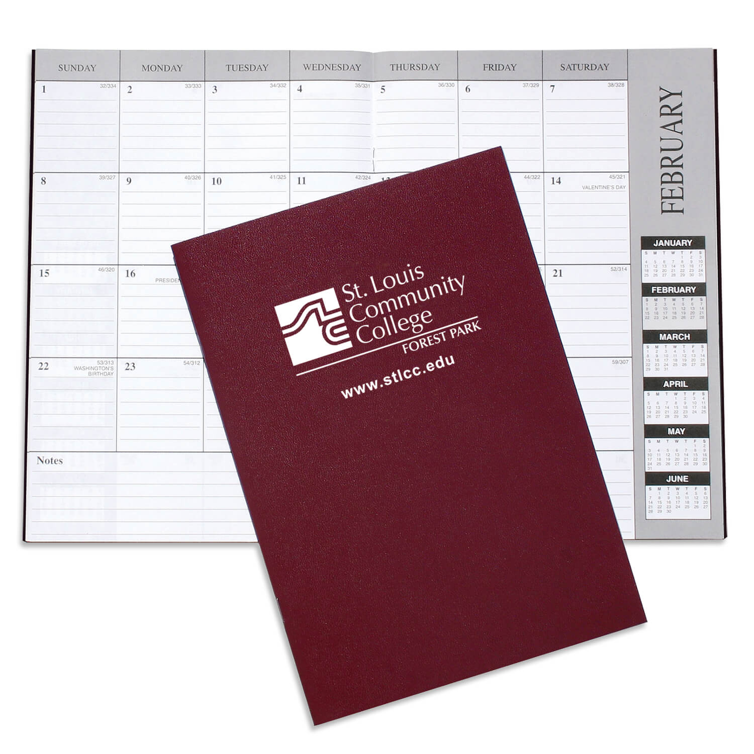 1607 - Academic Monthly Desk Planners - Leatherette