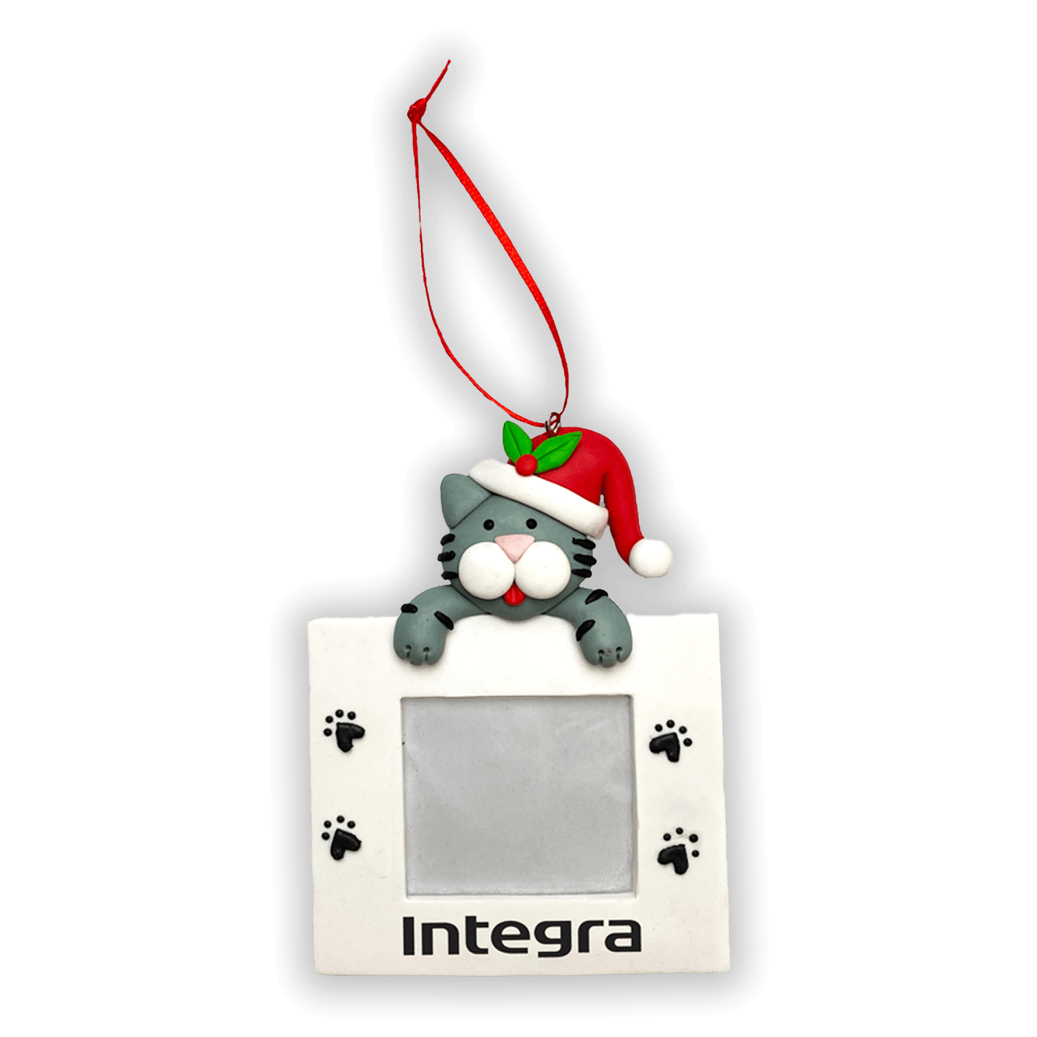 Cat Picture Frame Ornament                                            